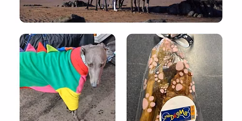 Great Global Greyhound walk 2026