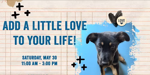 Adoption Event - PetSmart Lacey