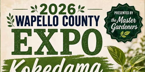 2026 Wapello County Expo Kokedama Workshop presented by the Master Gardeners