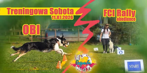 Treningow Sobota - przebiegi OBI i torki FCI Rally Obedience - lipiec 2026