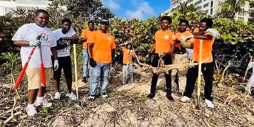Restoring Historic Virginia Key Beach Park - Invasive Species Removal