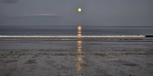Full Flower Moon Nordic Walk
