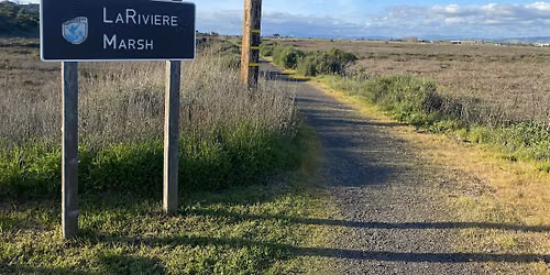 Salt Marsh Walk for National Public Lands Day
