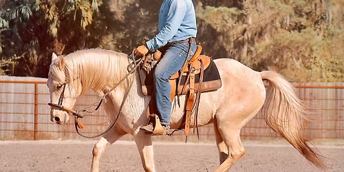 Knock the Mud Off- Horsemanship