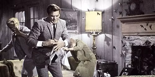 The Birds (OmU) - Traumfabrik #29: Alfred Hitchcock