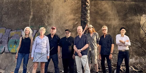 Mekons Acoustic show