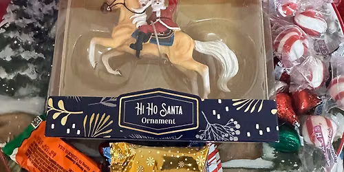 SSBC Schooling Dressage Show