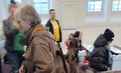 B\u00f8rnegudstjeneste med \u00e6selridning