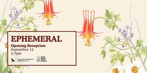 Ephemeral Opening Celebration