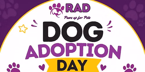 Dog Adoption and Foster Event