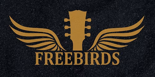 Koncert Zespo\u0142u Freebirds