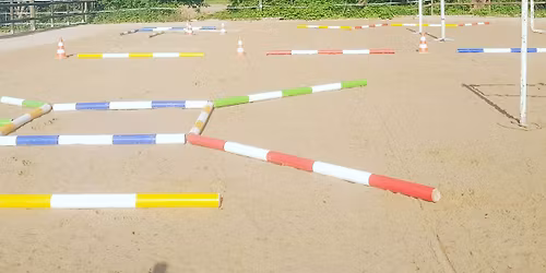 Gymnastizieren mit Stangen \u2013 Mehr Balance, Kraft & Losgelassenheit f\u00fcr dein Pferd