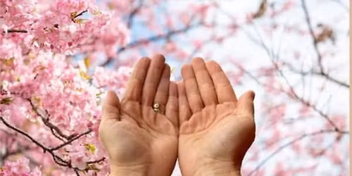 formation Reiki Usui niveau 1