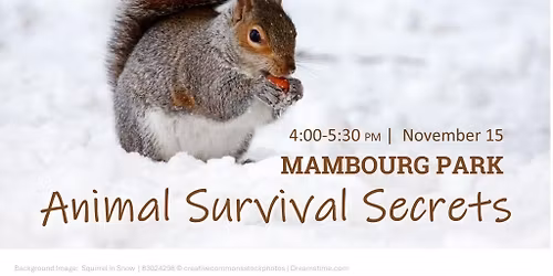 Animal Survival Secrets (Mambourg Park)