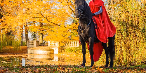 SVATOMARTINSK\u00dd PR\u016eVOD VE SLATI\u0147ANECH