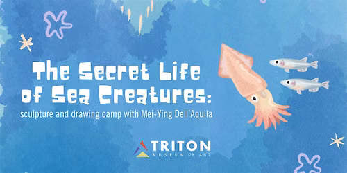 The Secret Life of Sea Creatures: Sculpture and Drawing Camp