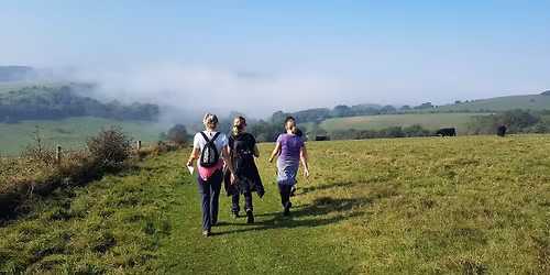 Wellness Walking Group Walk, Royston Heath