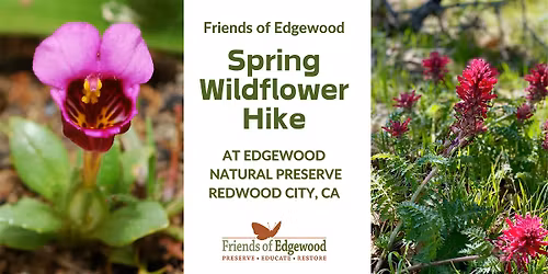 Spring Wildflower Hike at Edgewood Park and Natural Preserve