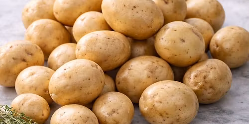 Smag p\u00e5 s\u00e6sonen: Kartofler | Aalborg