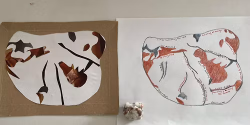 Tides of Belonging - Grief, Deep Time and Seeing with Ancient Eyes w\/ Brigid Normand