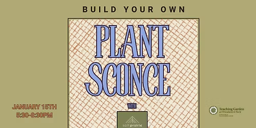 Plant Sconce Pottery