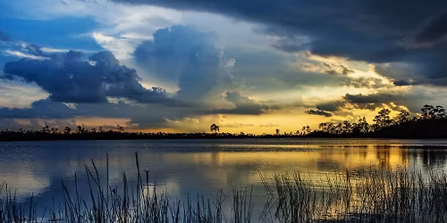 Wellness in the Wilderness: All-Inclusive Wellness Retreat in Biscayne & Everglades National Parks