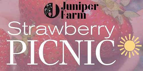 Strawberry Picnic at Juniper Farm