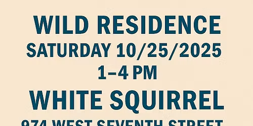 Live @ White Squirrel Bar
