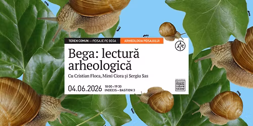 Bega: lectur\u0103 arheologic\u0103
