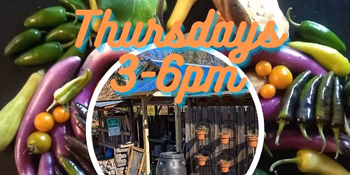 Self-Serve Farmstand