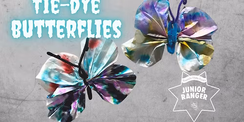 Tie-Dye Butterflies