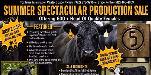 Nichols Ranching Co. Summer Production Sale