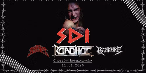 MEGAMOSHING MADNESS - SDI + Roadhog + Hornet + Rapidfire