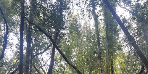 Saturday Group Hikes & Trail Runs at Rancho San Antonio, Santa Clara County
