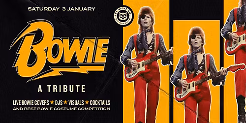 Bowie Night at the Night Owl