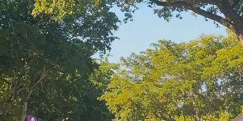 Boca Farmers Market (Sundays) | 9am to 1pm | Free Community Yoga