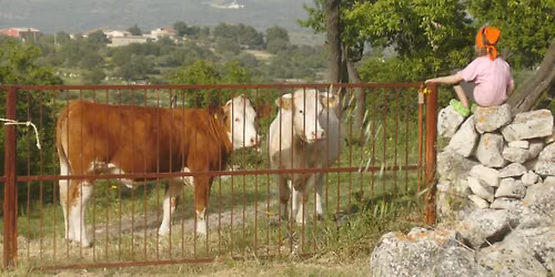 Sicilian Foodie Experience day trip by catamaran: Saturday 12 September 2026