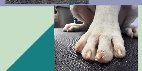 Flash nail trim sale