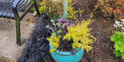 Free Perennial Path Walk & Talk Series: Shrubs for Structure