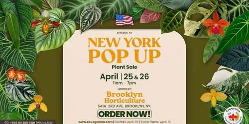 NEW YORK POP UP - PLANT SALE
