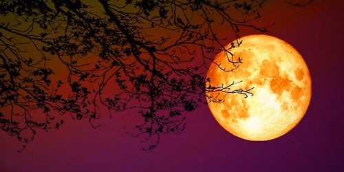 FULL MOON CIRCLE: An in-person evening for women ready to slow down, gather