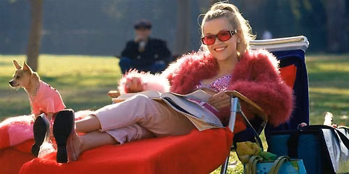 Popcorn & Pups Movie Night: Legally Blonde
