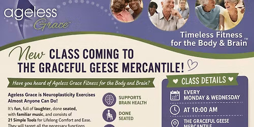 Ageless Grace Fitness Class (Body & Brain) at The Graceful Geese Mercantile