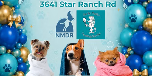 Pawlish, Pampering & Pups: Pet Pawlor Grand Opening & Adoption Event