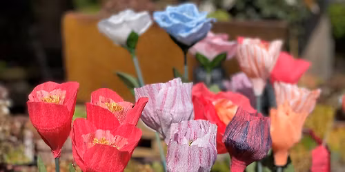 Crepe Paper Flower Craft Workshop