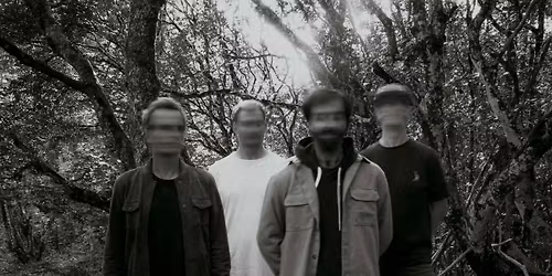 Under Old Trees - Live au Bar de l'U