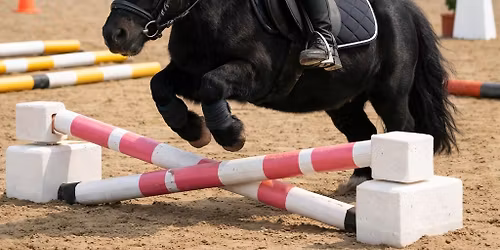 Brukst\u00e4vling p\u00e5 Stora H\u00f6ga ridklubb Precision och Caprilli