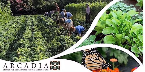 Volunteer at Arcadia's Hilltop Farm