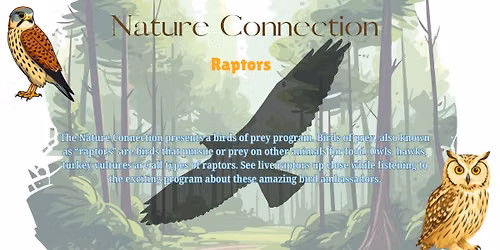 Nature Connection- "Raptors"