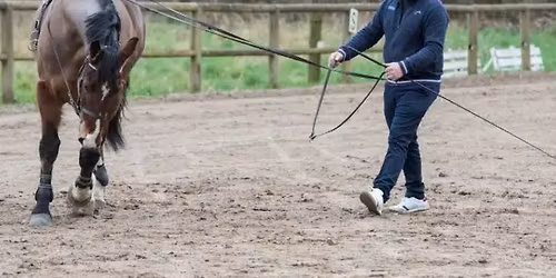 Stage attelage & perfectionnement avec S\u00e9bastien Vincent \u2013 etalle